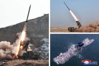 North Korea tests new rocket launcher control system | The Straits Times
