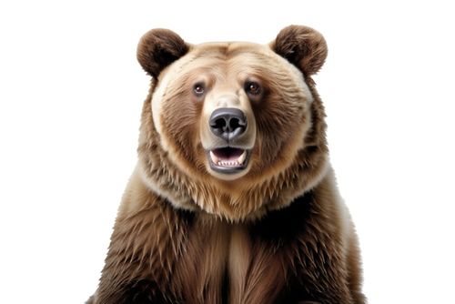 marketing week dear joy image