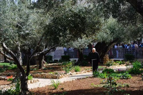 Garden of Gethsemane, Church of All Nations, Jerusalem
