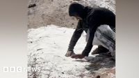 Gaza food crisis: Man gathers spilled flour off ground as desperation grows