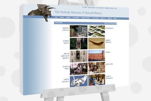 Yale Peabody Public Domain Images