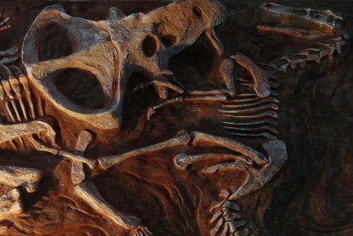 'Fighting Dinosaurs' 1.8m Wall Mountable Display - Velociraptor and Protoceratops