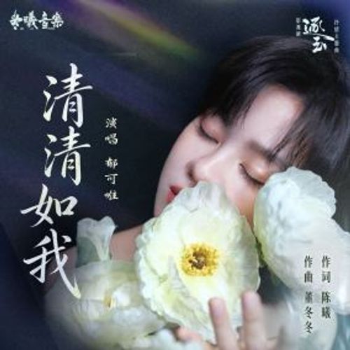 清清如我