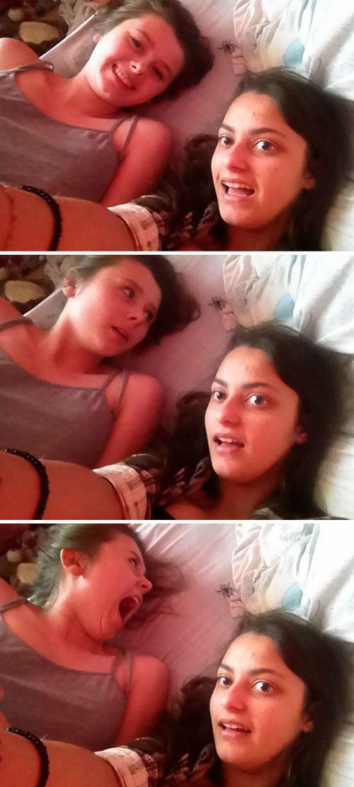 Girls taking a selfie with spider on the background