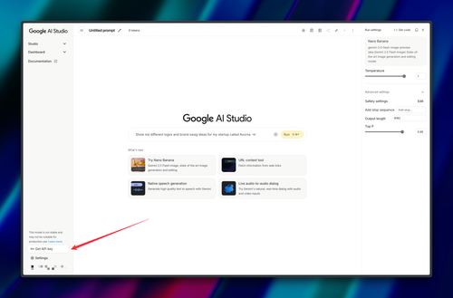 How to Get Your Gemini API Key 1