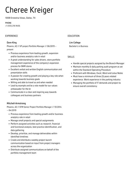 Project Portfolio Manager Resume Sample