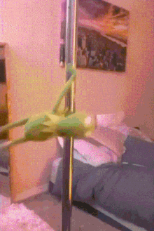 c3RyaXBwZXIuZ2lm.gif