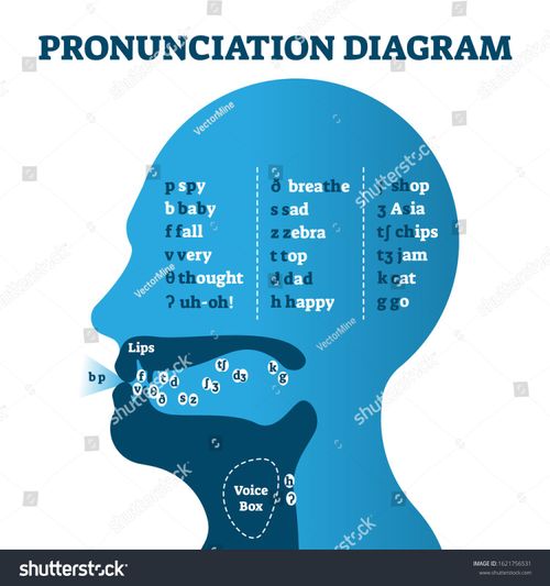 a blue human head with the words pronuction diagram on it, and an image of
