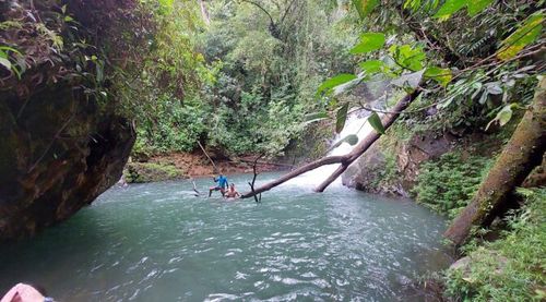 Sendero para la Cascada Loma Grande