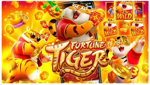 Fortune Tiger Reviews