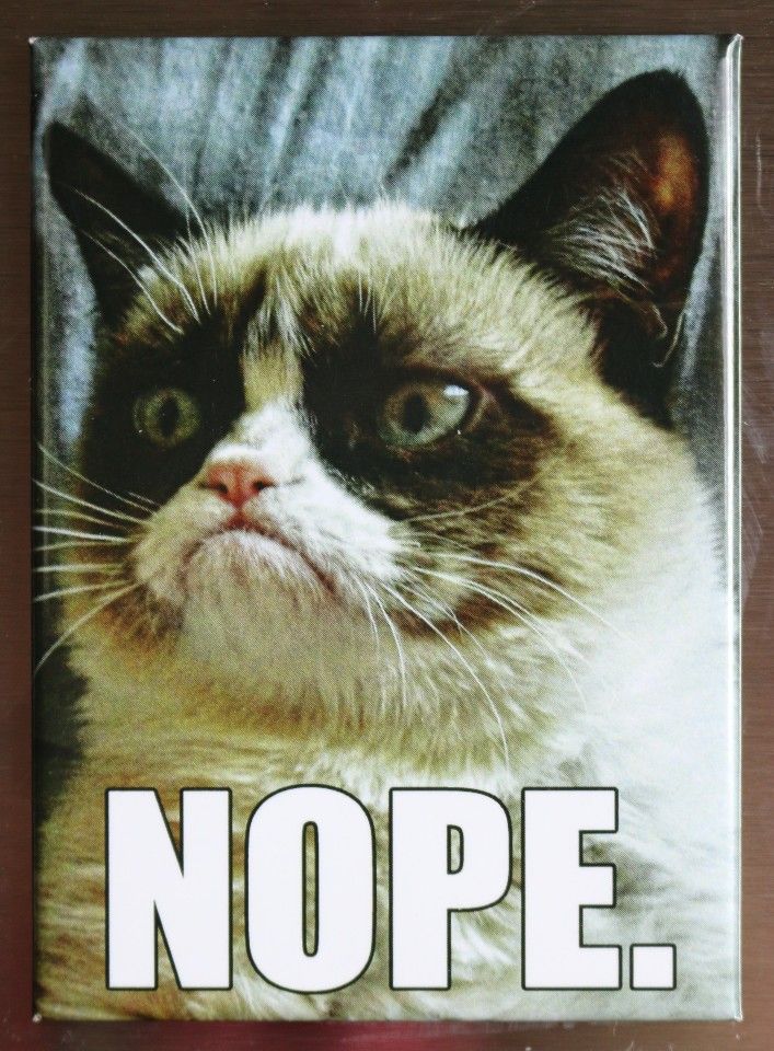 Grumpy Cat Nope FRIDGE MAGNET Funny Cat Meme Comedy ATAM | The Wild Robot!