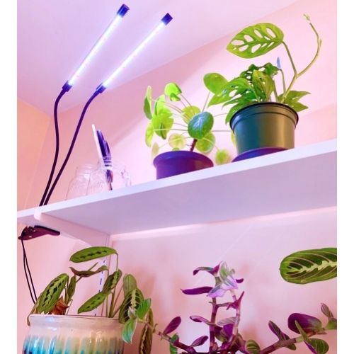 grow lights for plants