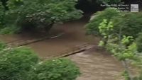 Driver Takes On Texas Flood And Loses - Videos from The Weather Channel