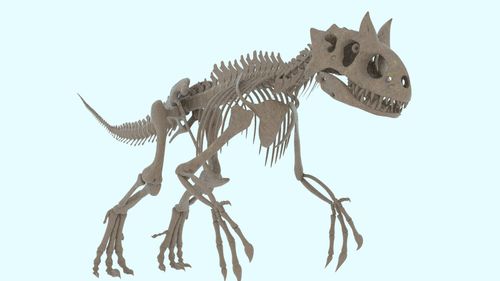 indominus rex skeleton model https://p.turbosquid.com/ts-thumb/An/kFnHGa/VLoXLKxf/render5/png/1504028695/1920x1080/fit_q87/40caf6dab7d35532a00bb661f6a819db605740df/render5.jpg