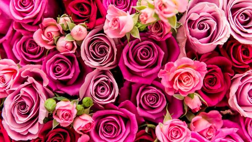HISTORY: Valentine's Day