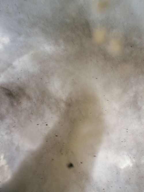 Looking up the side of a tornado