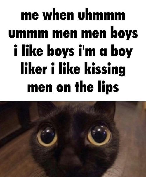 me when uhmmm ummm men men boys i like boys i'm a boy liker i like kissing men on the lips