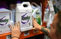 Supreme Court blocks thousands of suits claiming Roundup causes cancer - The Washington Post