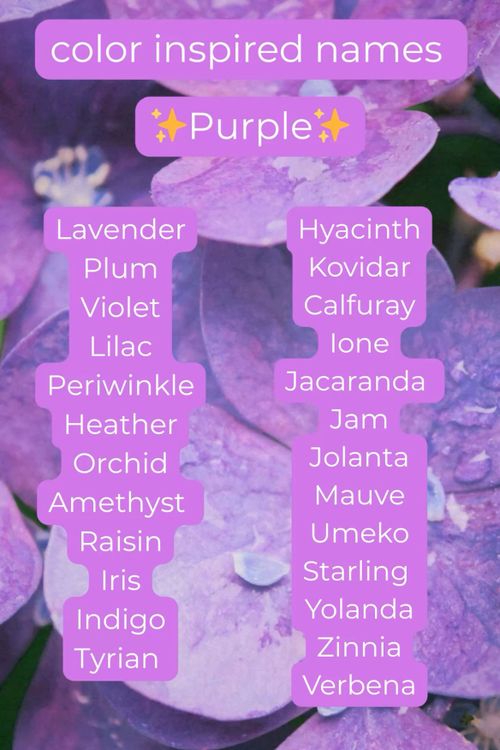 purple flowers with names in the middle