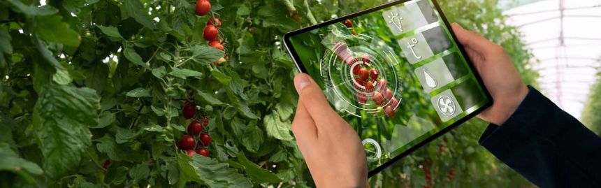 vegetation monitoring with a tablet