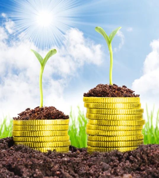 Crecimiento del dinero - Foto, imagen