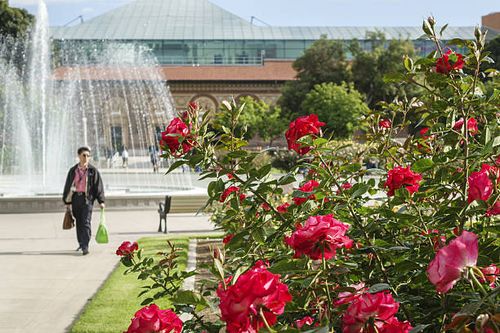 Exposition Park Rose Garden.
