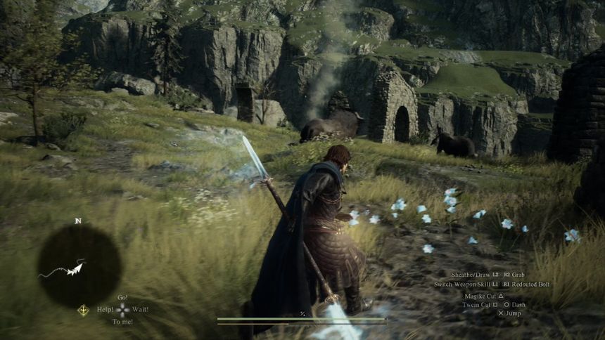 Dragons Dogma 2 preview screenshot showing the main character with a staff in grassy countryside