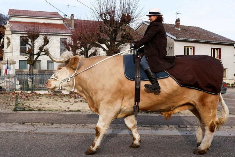 Sabine Roa posjeduje bika Aston