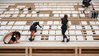 The Garden of Diplomacy: Why the Vatican's Biennale Presence is More Than Just Art