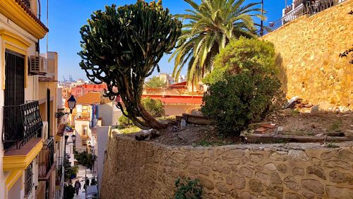 El Barrio del Cabo