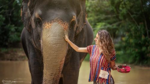 Elephant Jungle Sanctuary Phuket