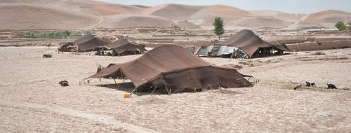 article topimage nomads in badghis province