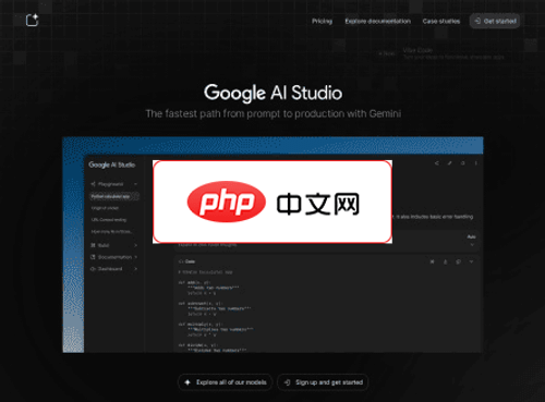 Google AI Studio