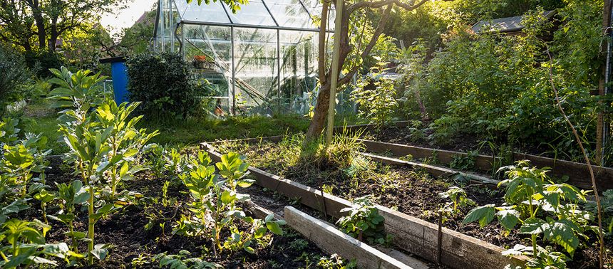 jardinier Créer un jardin résilient à Bruxelles : astuces pour un jardinier écolo 