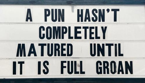 A pun isnt matured - Pun Memes