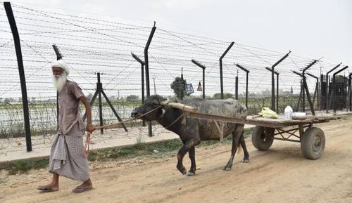 Farmer leading a bullock cart past a field after sowing paddy near the zero line at the India-Pakistan border, on July 14, 2021 in Amritsar, India.