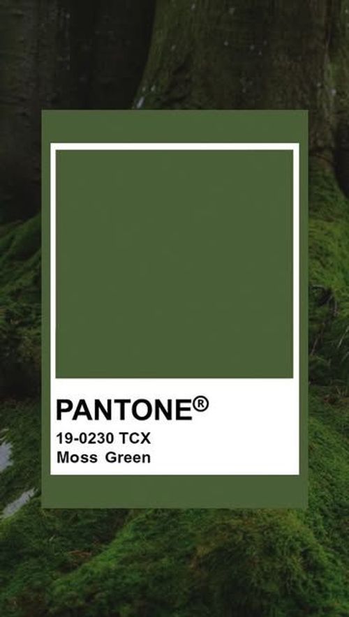 pantone's moss green color is shown in front of a tree with white trim