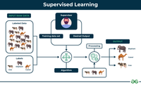 Supervised and Unsupervised learning - GeeksforGeeks
