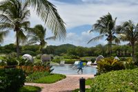 Surf Travel Guides & Surf Trips // Lush Palm