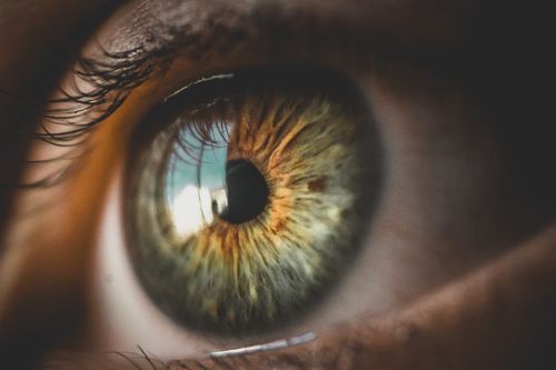 Close-up of a human eye