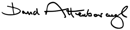 David_Attenborough's_signature.svg