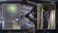 Las Vegas alien video's previously missed detail proves 'authenticity,' expert says: 'You can't deny it' | Fox News