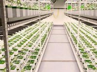 Front Page | Logical Green Solutions