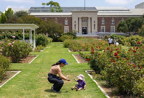 Los Angeles, CA Dolores Rodriguez and Aria Rodriguez enjoy the day at Exposition Park Rose Garden on Sunday, July 20, 2025 in Los Angeles, CA.