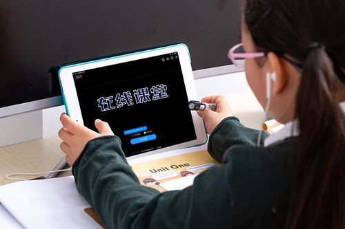 在家上网课的小学生照片下载