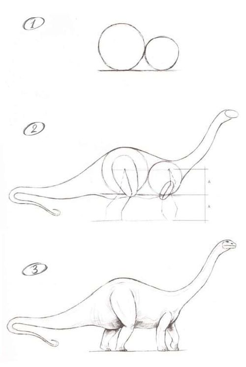 Step-by-step guide on drawing a sauropod dinosaur, starting with circles and building up to a detailed sketch.