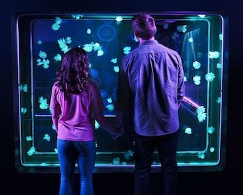 SEA LIFE New Jersey Aquarium Zip Codes List 07024