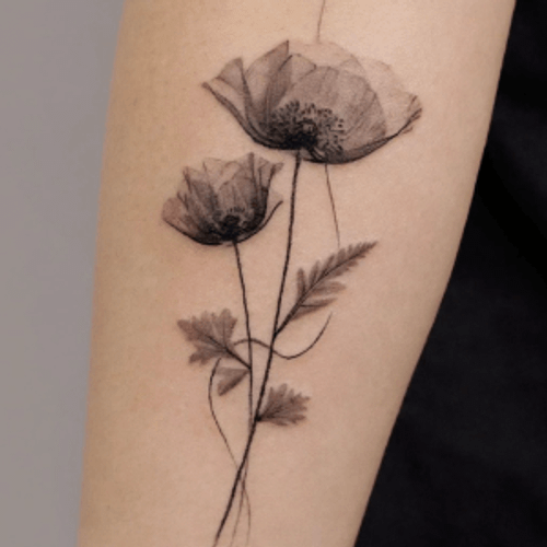 Screenshot 2024-07-02 at 1.48.13 PM