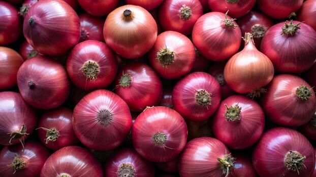 Red Onions Gallery 1