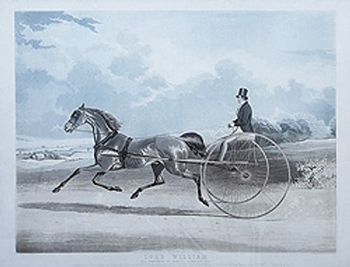 William Shayer - Trotting antique aquatint
